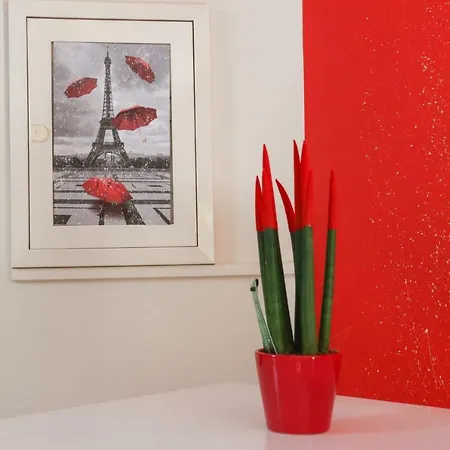 Colourful Apartman Argosztóli